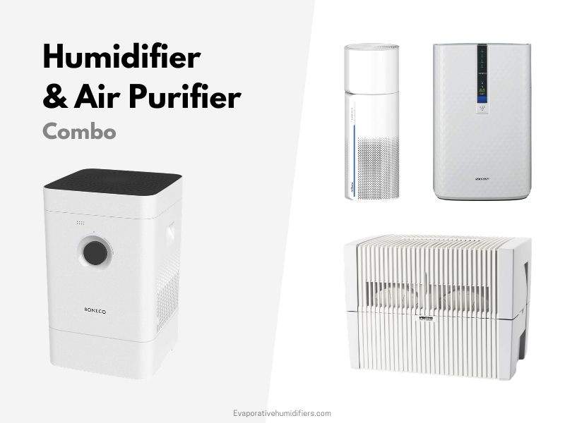 Best Humidifier and Air Purifier Combo
