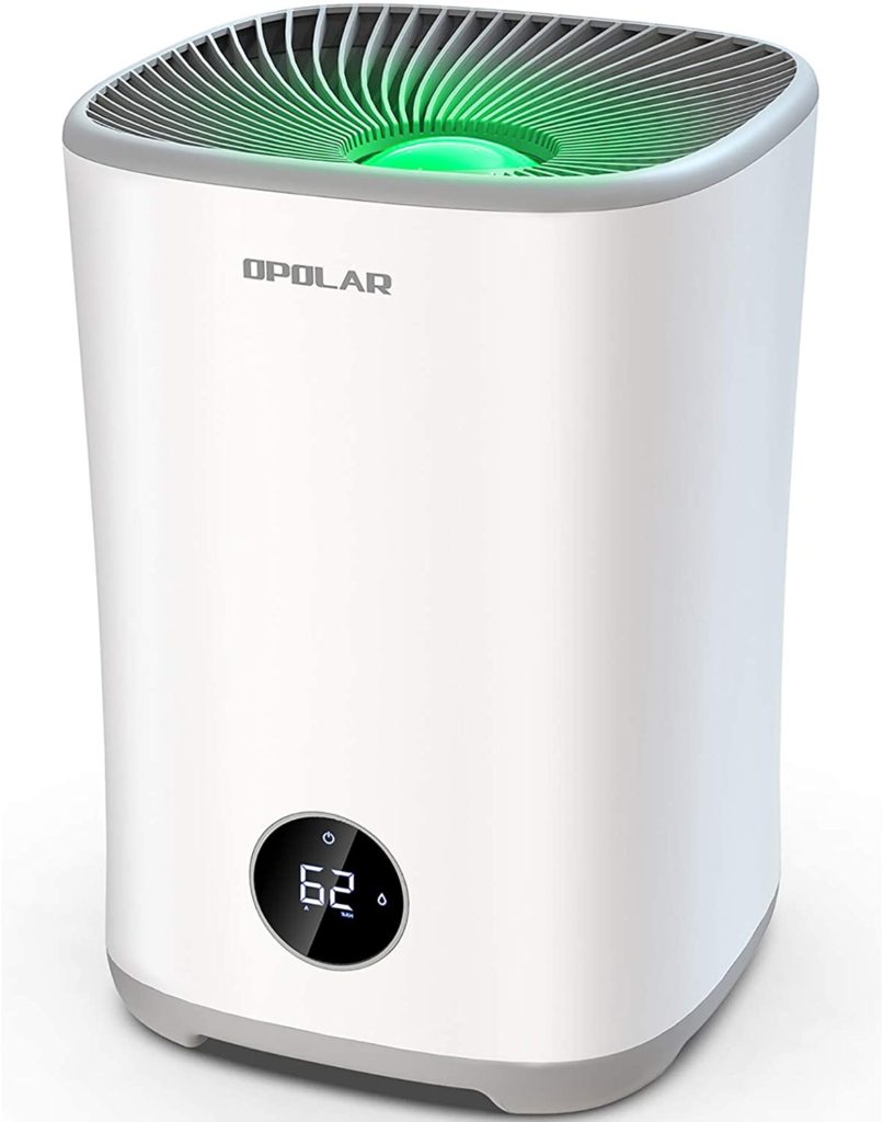 5 Best Cool Mist Humidifiers Reviews and Buyer
