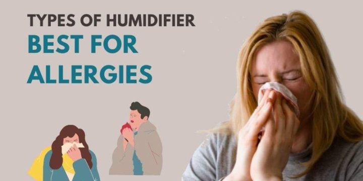 What Type of Humidifier is Best for Allergies