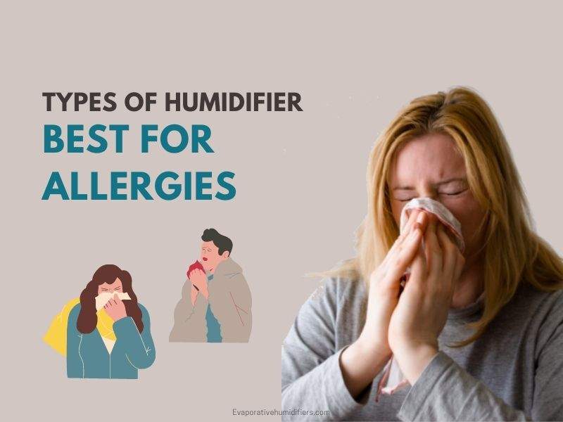 What type of Humidifier is Best for Allergies