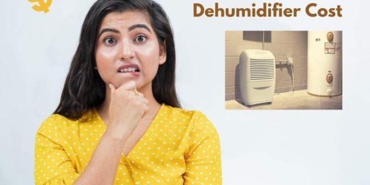 How Much Does a Basement Dehumidifier Cost?