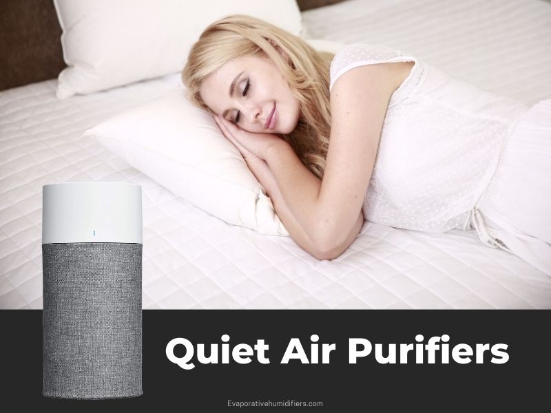 Best Quiet Air Purifiers