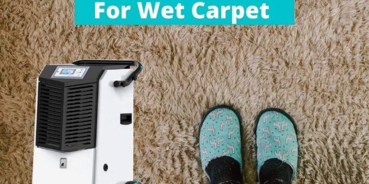 5 Best Dehumidifiers for Wet Carpet – Buyer’s Guide