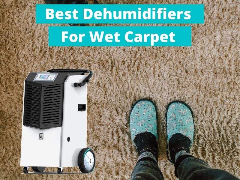 Dehumidifiers For Wet Carpet