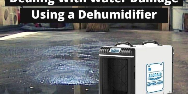 A Complete Guide to Using a Dehumidifier for Water Damage