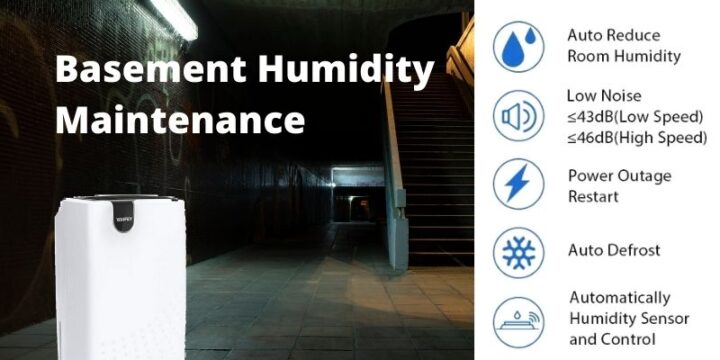 A Homeowner’s Guide to Basement Humidity Maintenance 