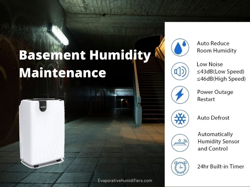 Basement Humidity Maintenance Guide