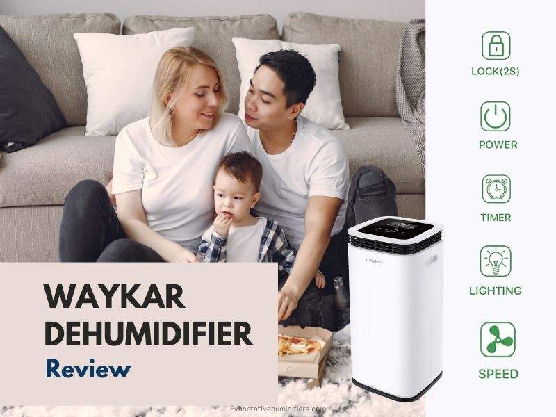 Waykar Dehumidifier Review
