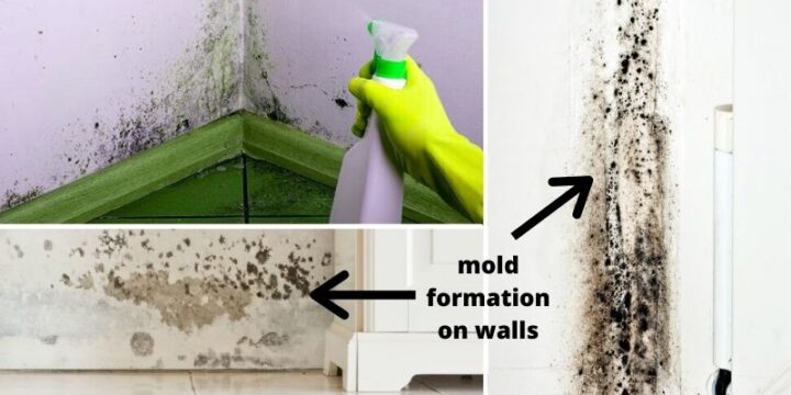 How to Get Rid of Mold On Walls (and How to Prevent Mold Growth)