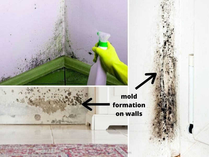 How to Get Rid of Mold On Walls