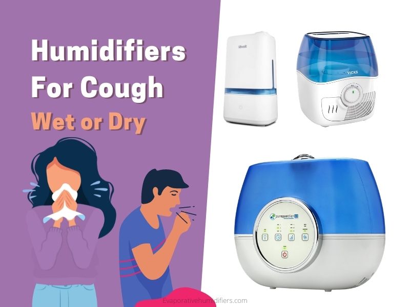 Best Humidifiers For Cough