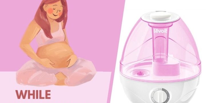 Best Humidifiers For Pregnancy – Buyer’s Guide 2024