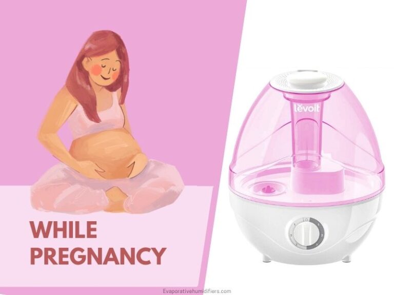 Best Humidifiers For Pregnancy Buyer s Guide 2023
