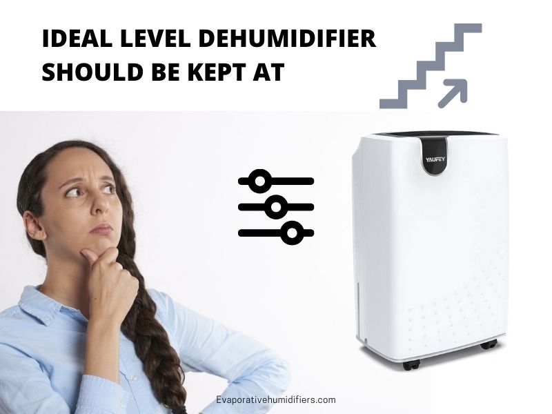 What Humidity Should I Set My Dehumidifier To