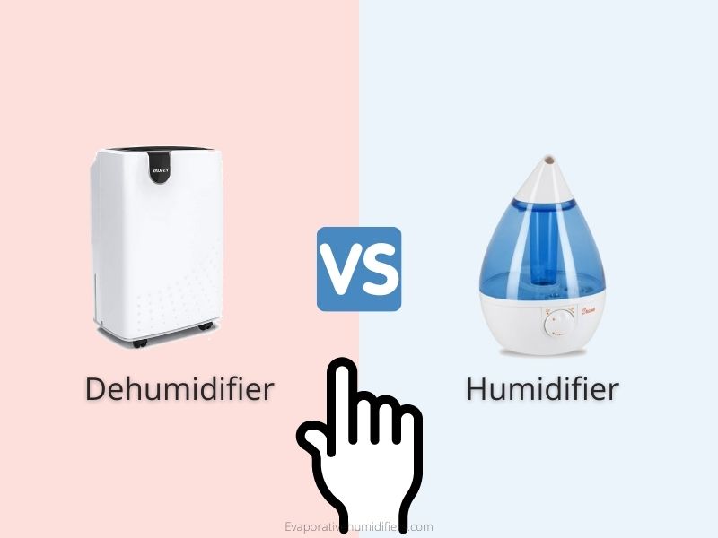 Do I need Humidifier or Dehumidifier