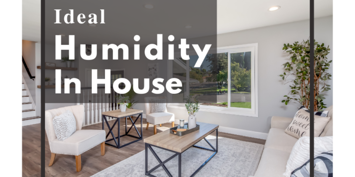 Ideal Humidity in House – Signs of Poor Indoor Humidity and How to Fix it